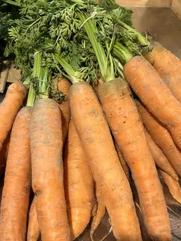 Carottes