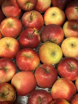 Pommes rouges