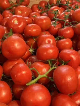 Tomates
