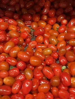 Tomates cerises