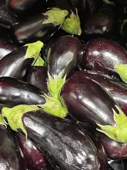 Aubergines