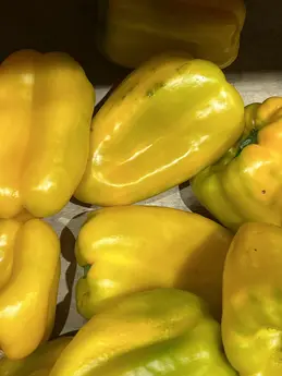 Poivrons jaunes