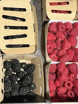 Mûres et Framboises