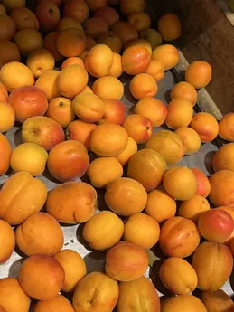 Abricots