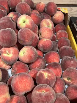 Pêches