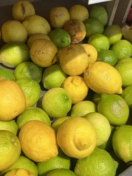 Citrons jaunes / verts