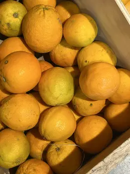 Oranges