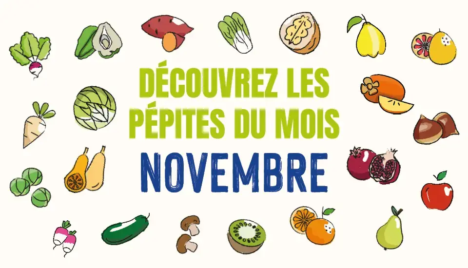 Calendrier de saisonnalité : Découvrez les pépites du mois de novembre 2025 !